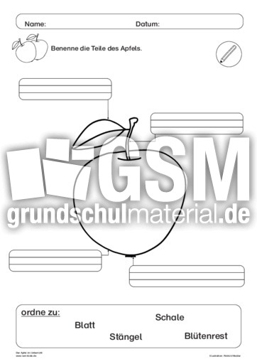 Der Apfel im Unterricht 23.pdf